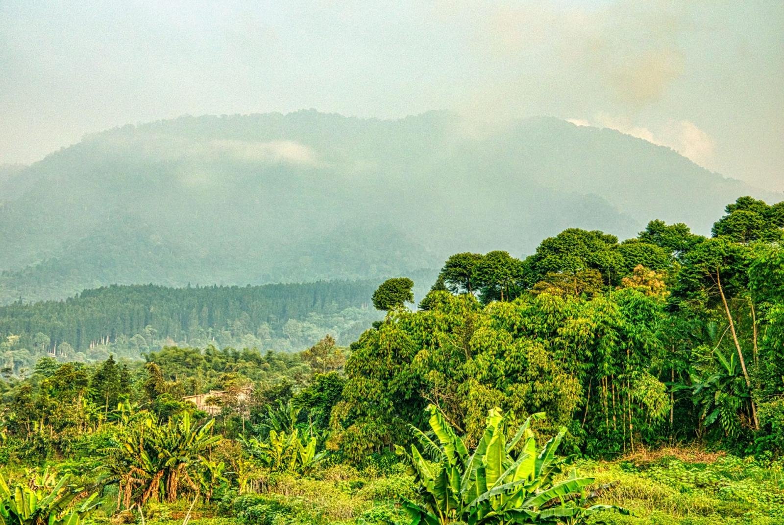 Sukabumi Selatan Pantai Geopark