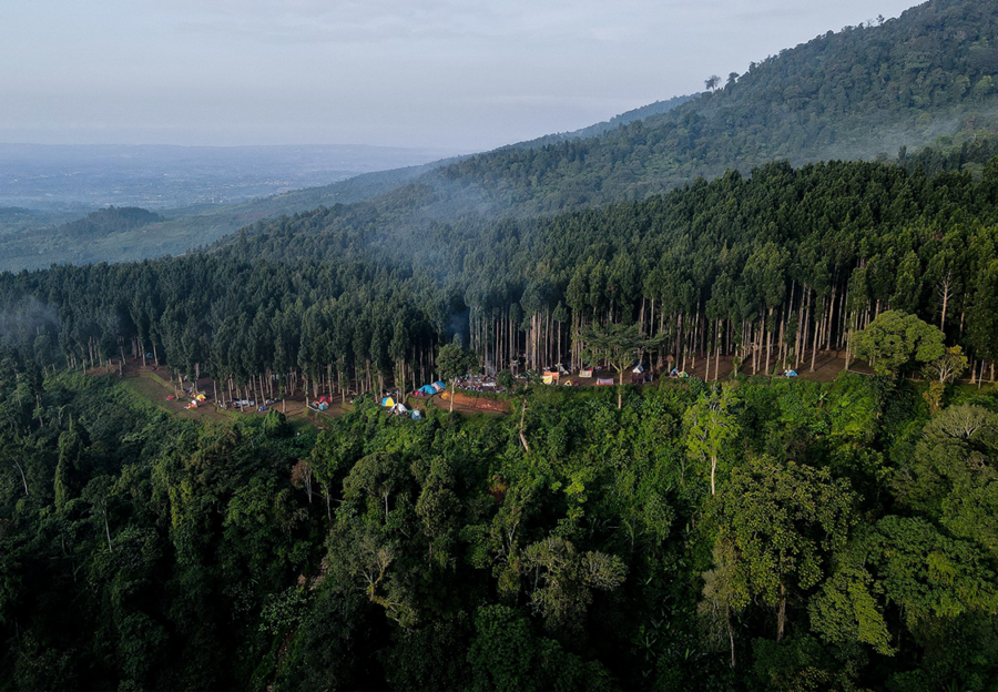 Camping di Cidahu Sukabumi: Serunya Bermalam di Tengah Hutan