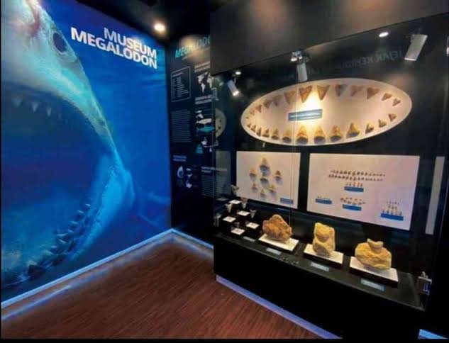 Jejak Megalodon di Sukabumi: Ketika Pajampangan Ternyata Pernah Menjadi Laut Purba