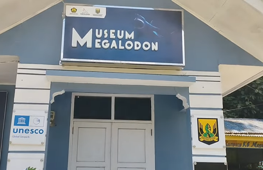 Museum Megalodon